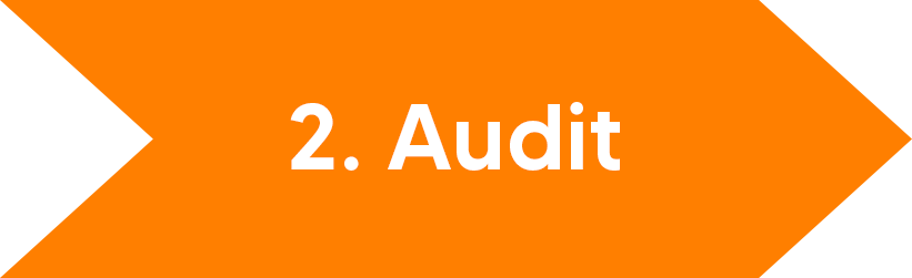 2 Audit