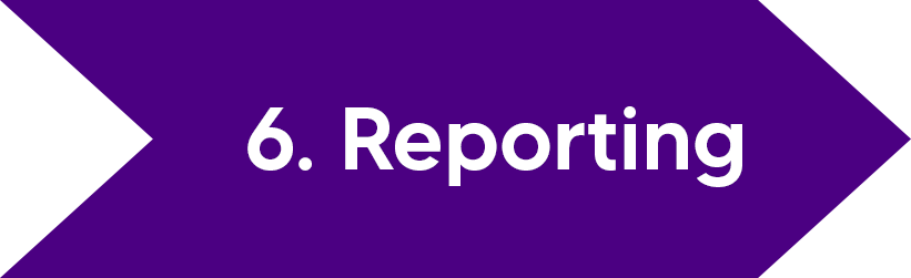 6 reporting